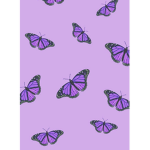 Sofia_cakes