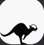 Auchat Group