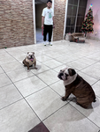 Club Manteco
