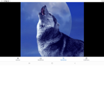 Team des loups garouuu