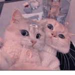 My bestie ' s