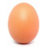 EGG COLT FOR THE EGG GOD