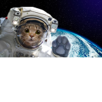 astronaut animals