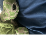 TURTLE GROUP ARE THE BEST