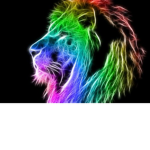 Lions S+M