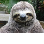 Sloth USA