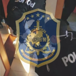 Mang Shi Criminal Investigation Brigade