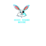 Havoc Bunnies Studios