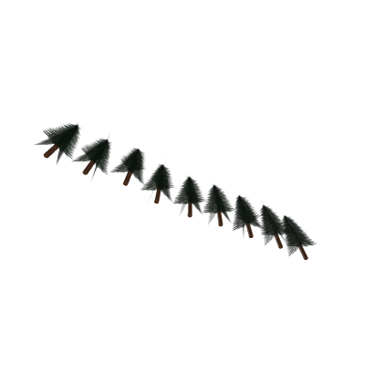 Pine trees.