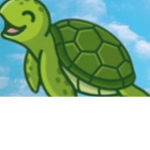 Turtle armarta