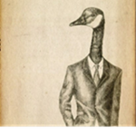 The Silly Gooses