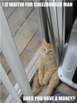 Kitty Klub