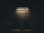 Spies in Darkness