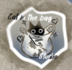 Cat in the bag Studio