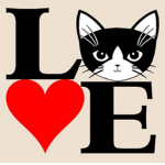 kittens and cat lovers