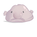 Blobfish United