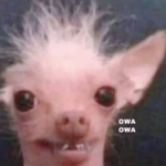 Hey >:3