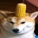 T h e S e c r e t T r o l l e r s