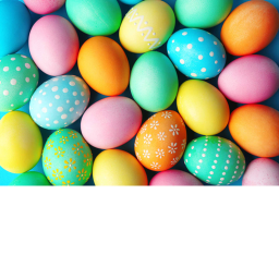 Goats easter egg hunt