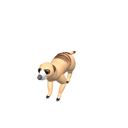 Free old meerkat rig