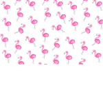 FLAMINGOS O.o