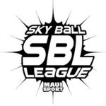 [PSL] Professional Skyball League