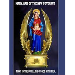 Knights of Mary hangout