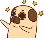 ThePugGroup : )