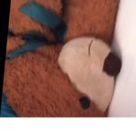 Ťěđđý