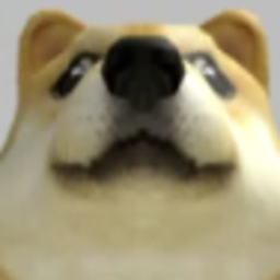 Chip