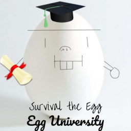 Survival the Egg the Killer