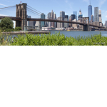 Brooklyn $hootas