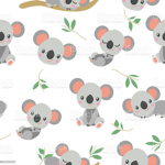 Kk koalas