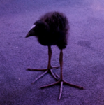 CM1400 Group :D