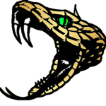 Hall of Fame Golden Vipers