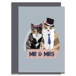 Mr and Ms Cat's Kittens
