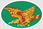 ROKA | The 1st Special Forces Brigade