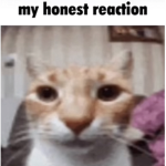 Rat_Studios