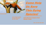 red panda support team