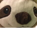 True Sloths