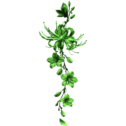 配置 green trailing spider lily flower vines