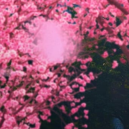 ✿