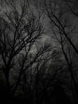 GREY DAYYYYYYYYYYYYYYYYYYYYYYYYYYYYYYYYYYYYYYYYYYY