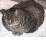 ferdinand
