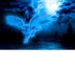 #MAGIC CLUB