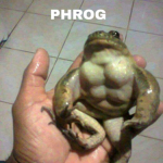 PHROG CHAMP