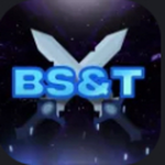 BS&T Group