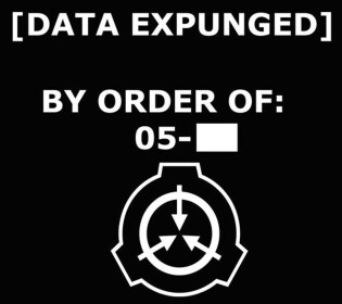 Bruh [REDACTED]