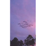 ᴀᴇsᴛʜᴇᴛɪᴄ ɴɪɢʜᴛᴍᴀʀᴇs