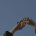 angelss fan groupss